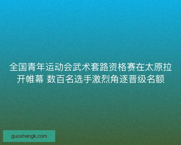 全国青年运动会武术套路资格赛在太原拉开帷幕 数百名选手激烈角逐晋级名额